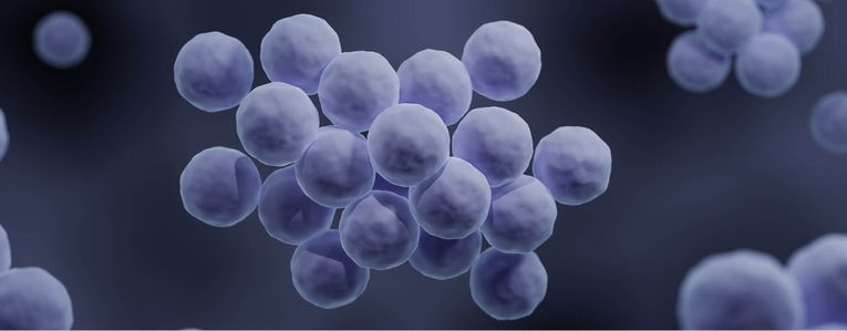 Comment arrêter l'infection d'un furoncle ?