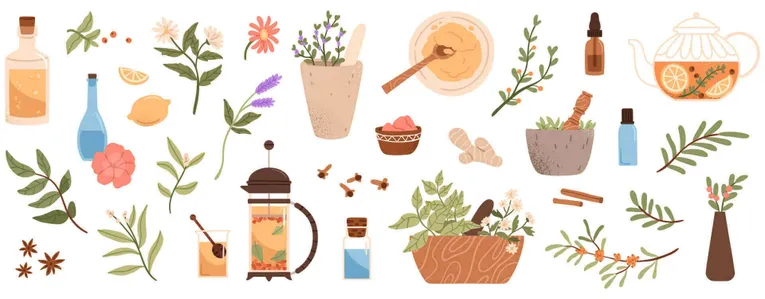 La santé au naturel : se soigner avec les plantes