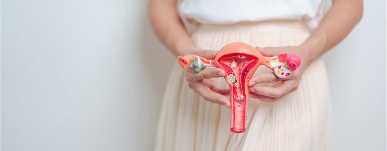 Notre top 5 des meilleurs compléments alimentaires pour le SOPK