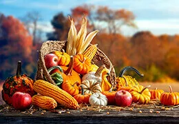 Fruits et légumes d’automne : le plein de vitamines pour la nouvelle saison