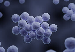 Comment arrêter l'infection d'un furoncle ?