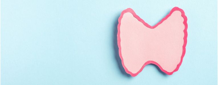 La thyroïdite d'Hashimoto : l'ennemi silencieux